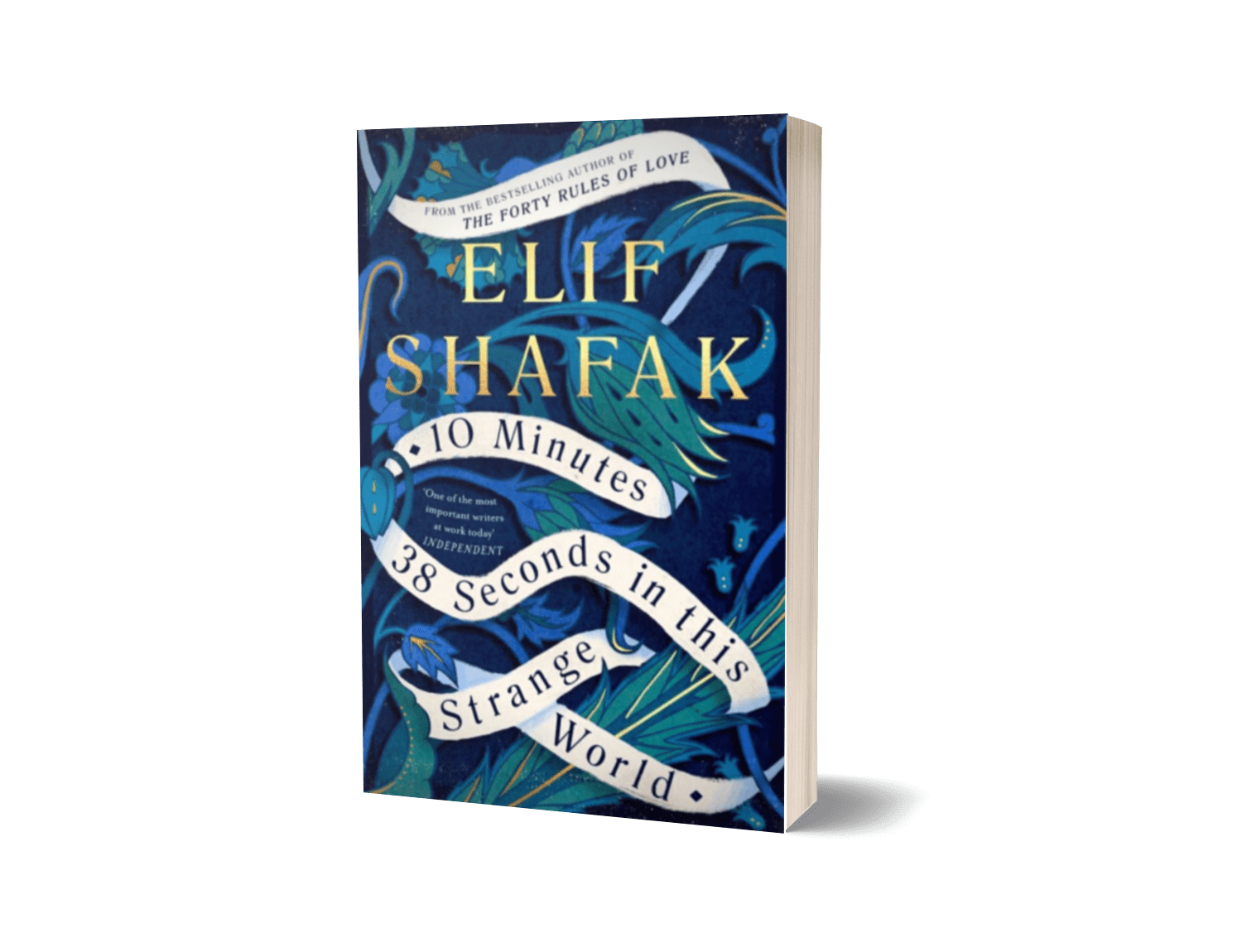 10 Minutes 38 Seconds in This Strange World | Elif Shafak