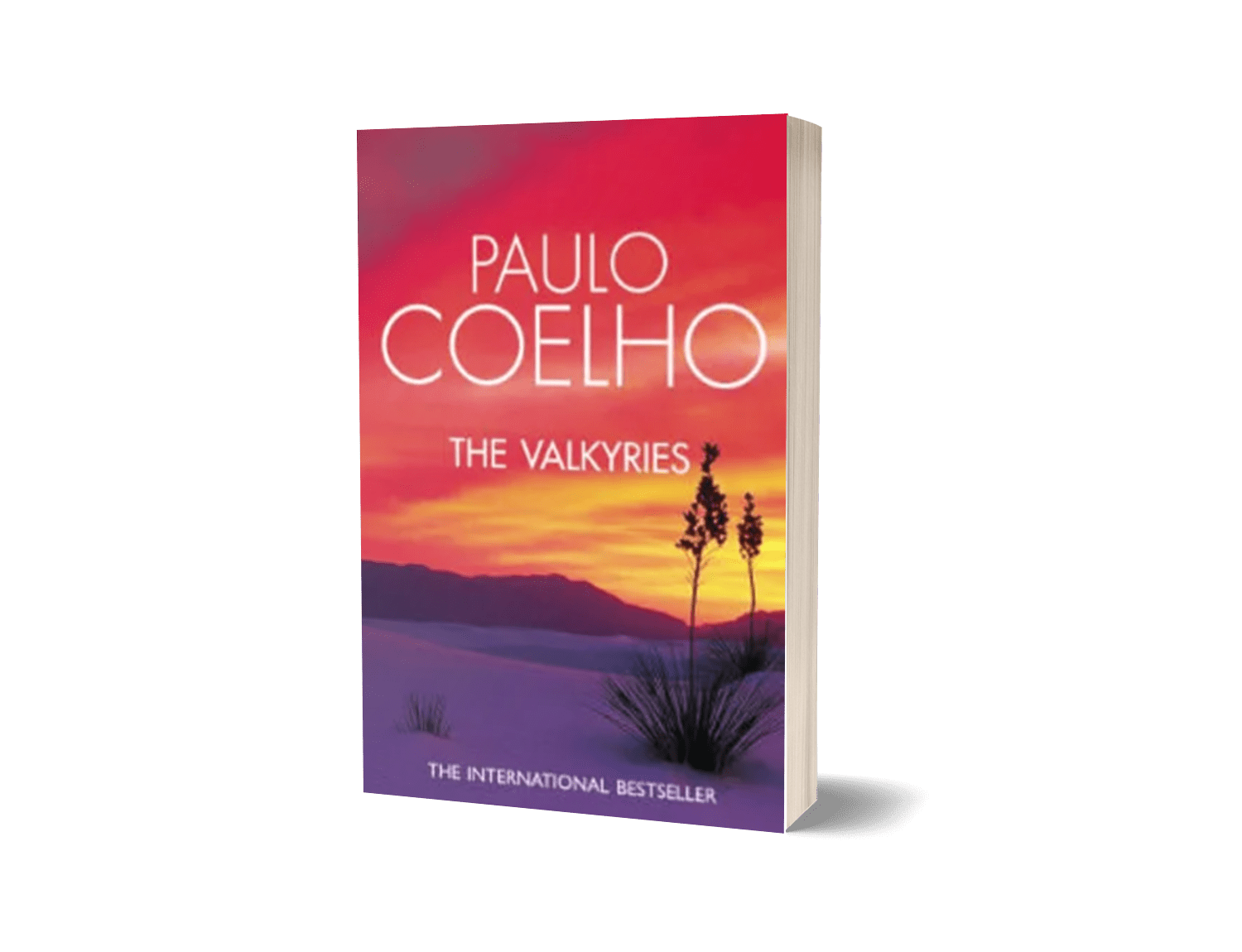 The Vakyries by Paulo Coelho