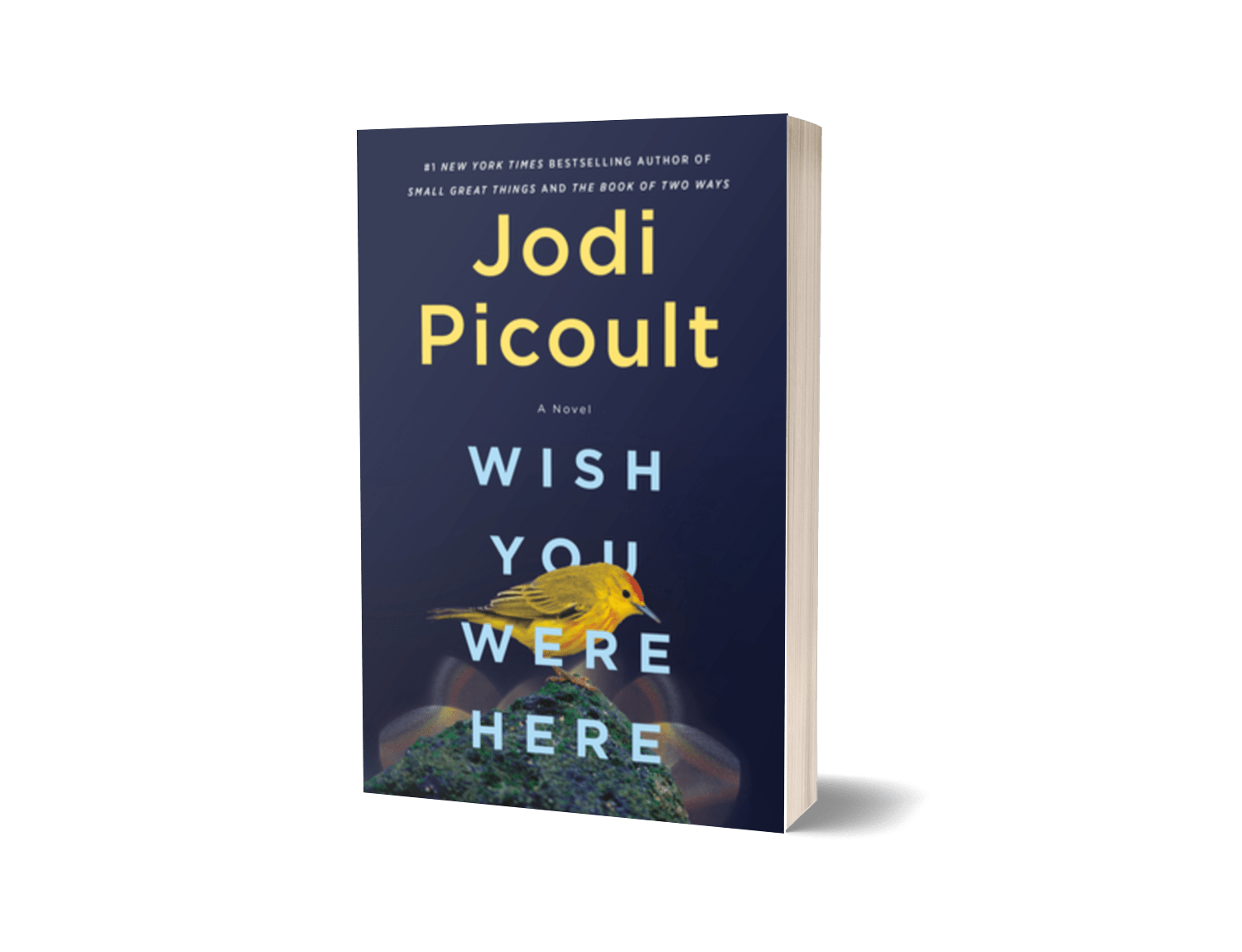 WISH YOU WERE HERE BY JODI PICOULT
