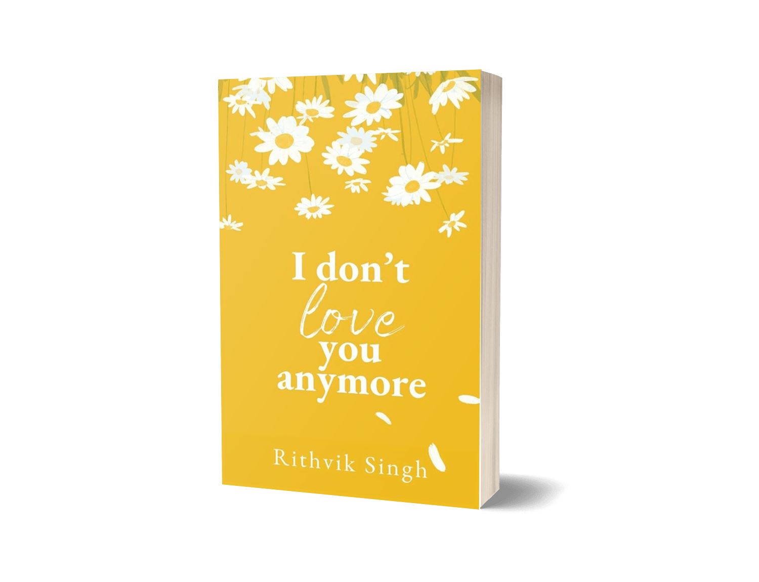 I Don’t Love You Anymore by Rithvik Singh