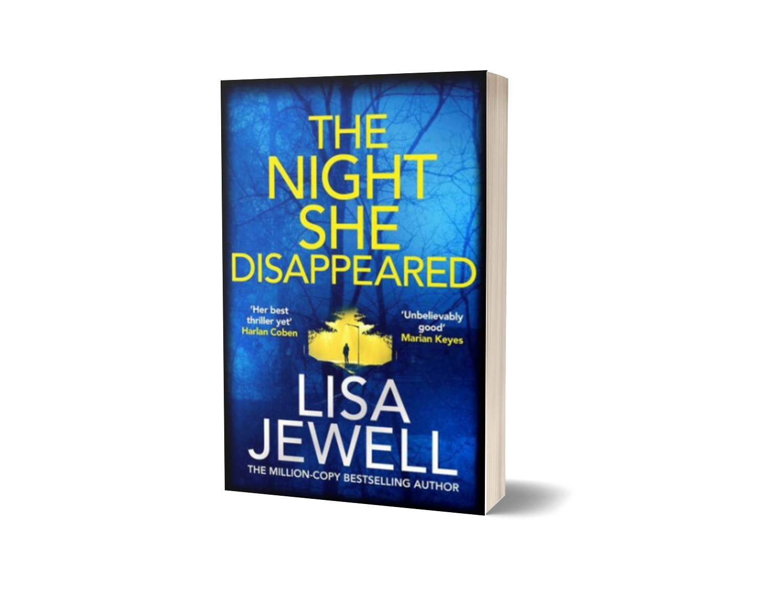 The Night She Disappeared by Lisa Jewell