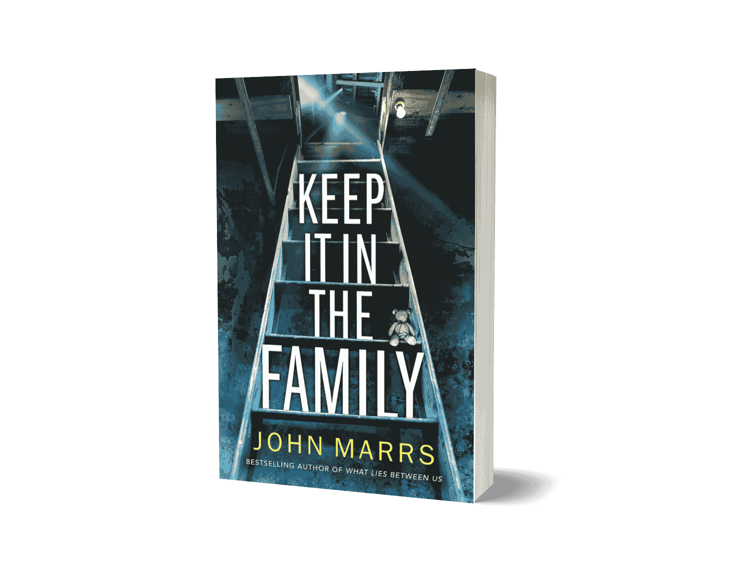 Keep It in the Family by John Marrs