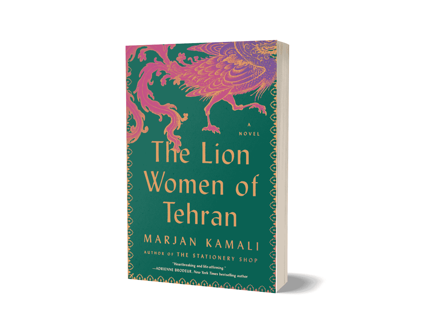 The lion women of Tehran by Marjan Kamali