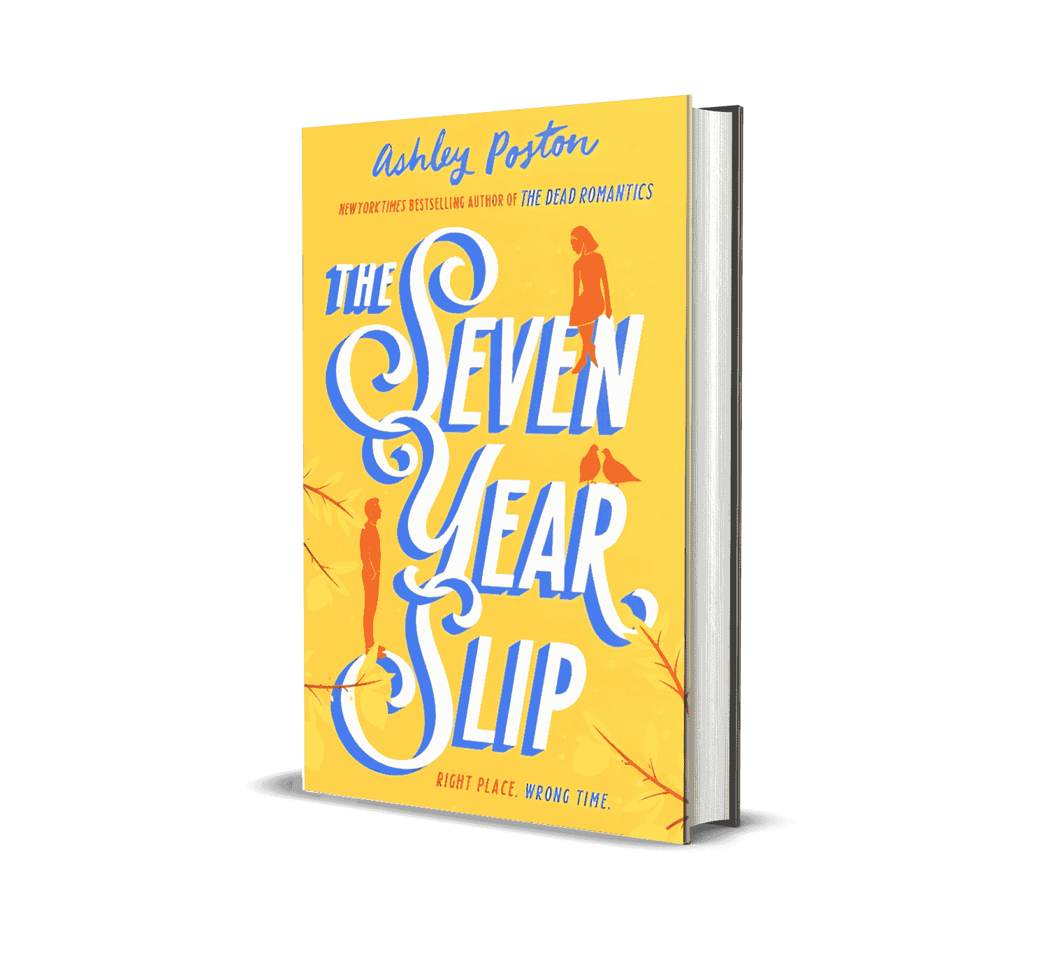 The Seven Year Slip by Ashley Poston