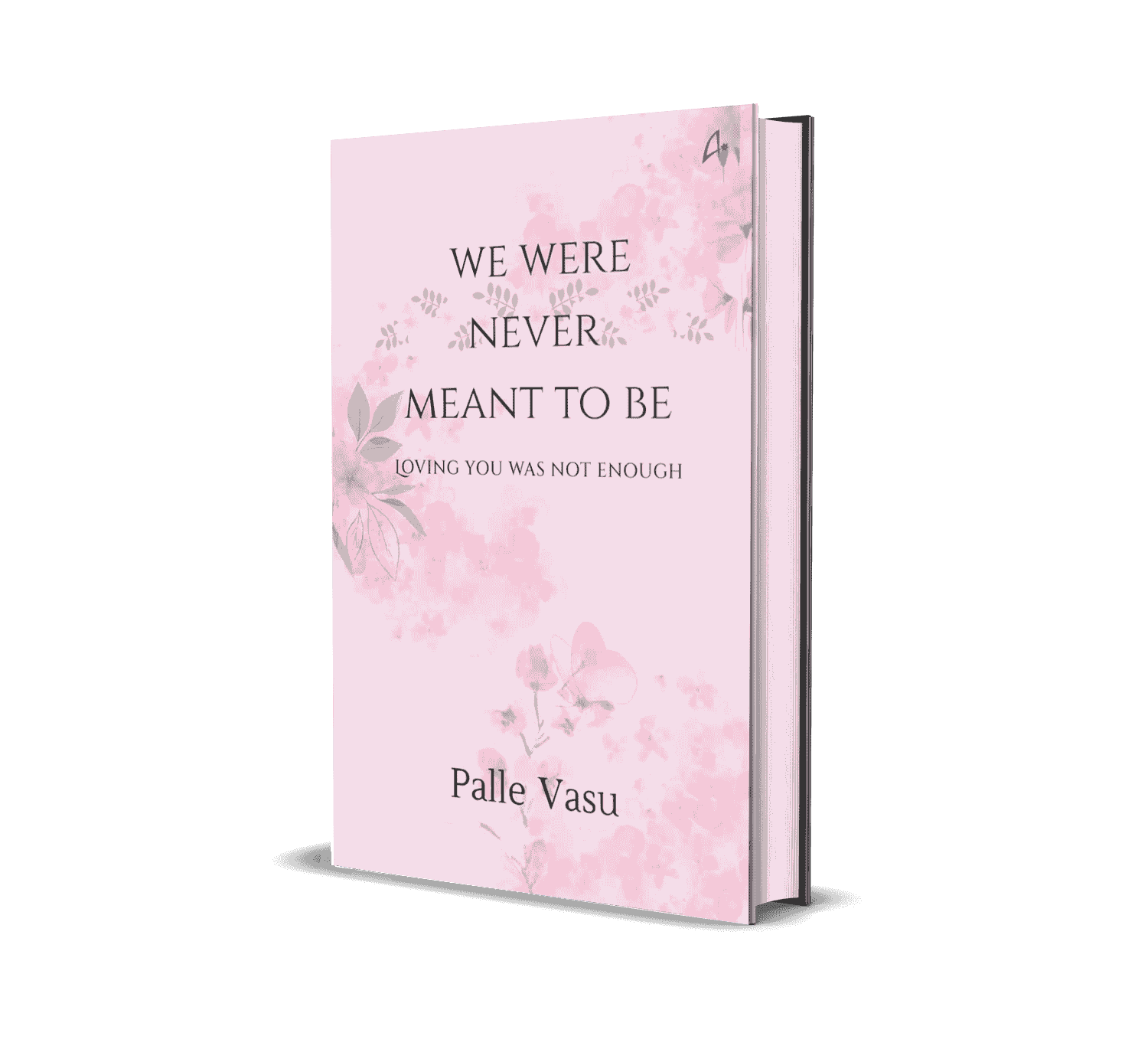 We Were Never Meant To Be by Palle Vasu