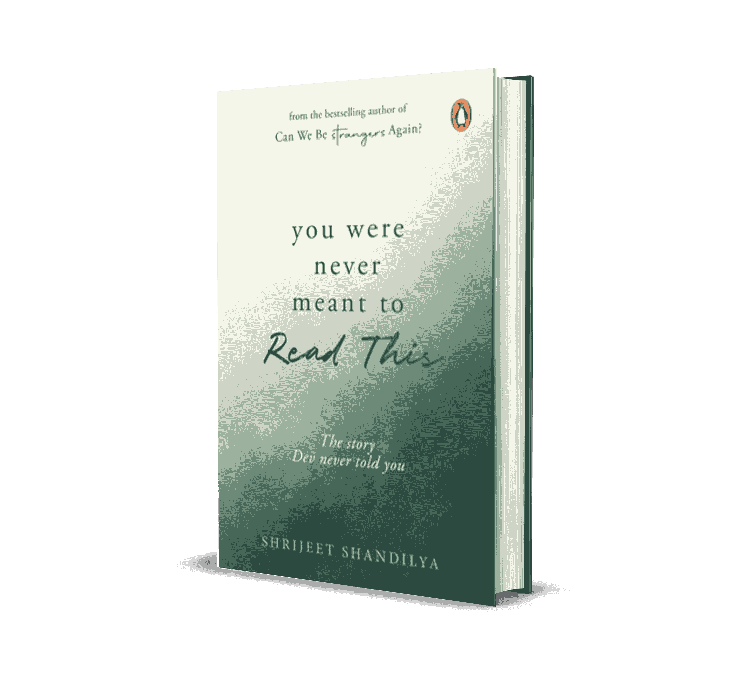 You Were Never Meant To Read This by Shrijeet Shandilya