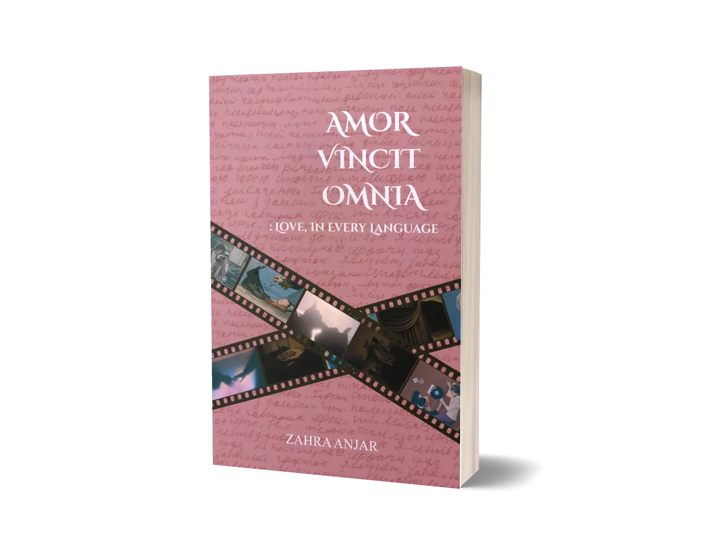 Amor Vincit Omnia by Zahra Anjar