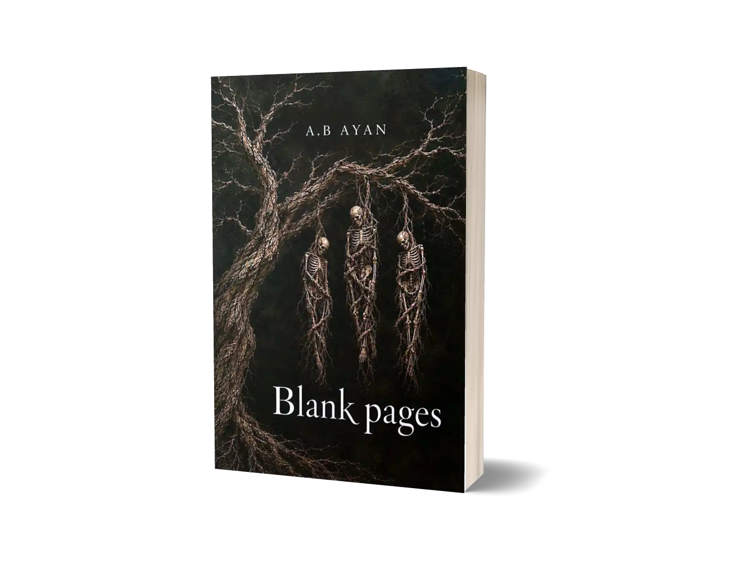 Blank Pages by A B Ayan
